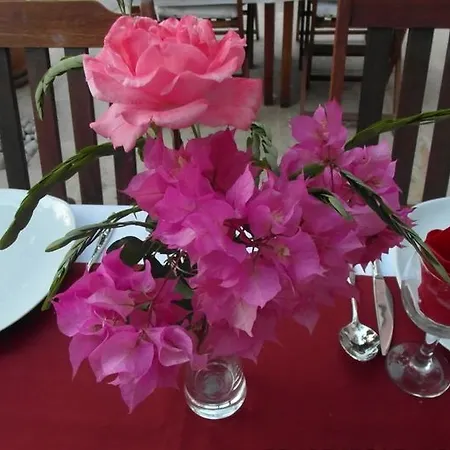 Otel 3t Apart Kalkan